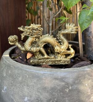 Dragão em Resina M
