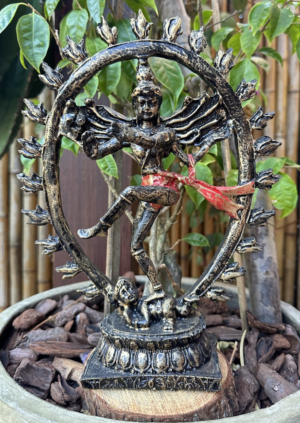 Shiva Círculo