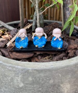 Trio Buda - Sentido