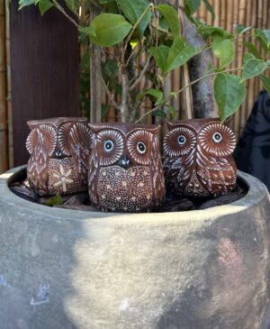 Trio Coruja Sentido - Madeira