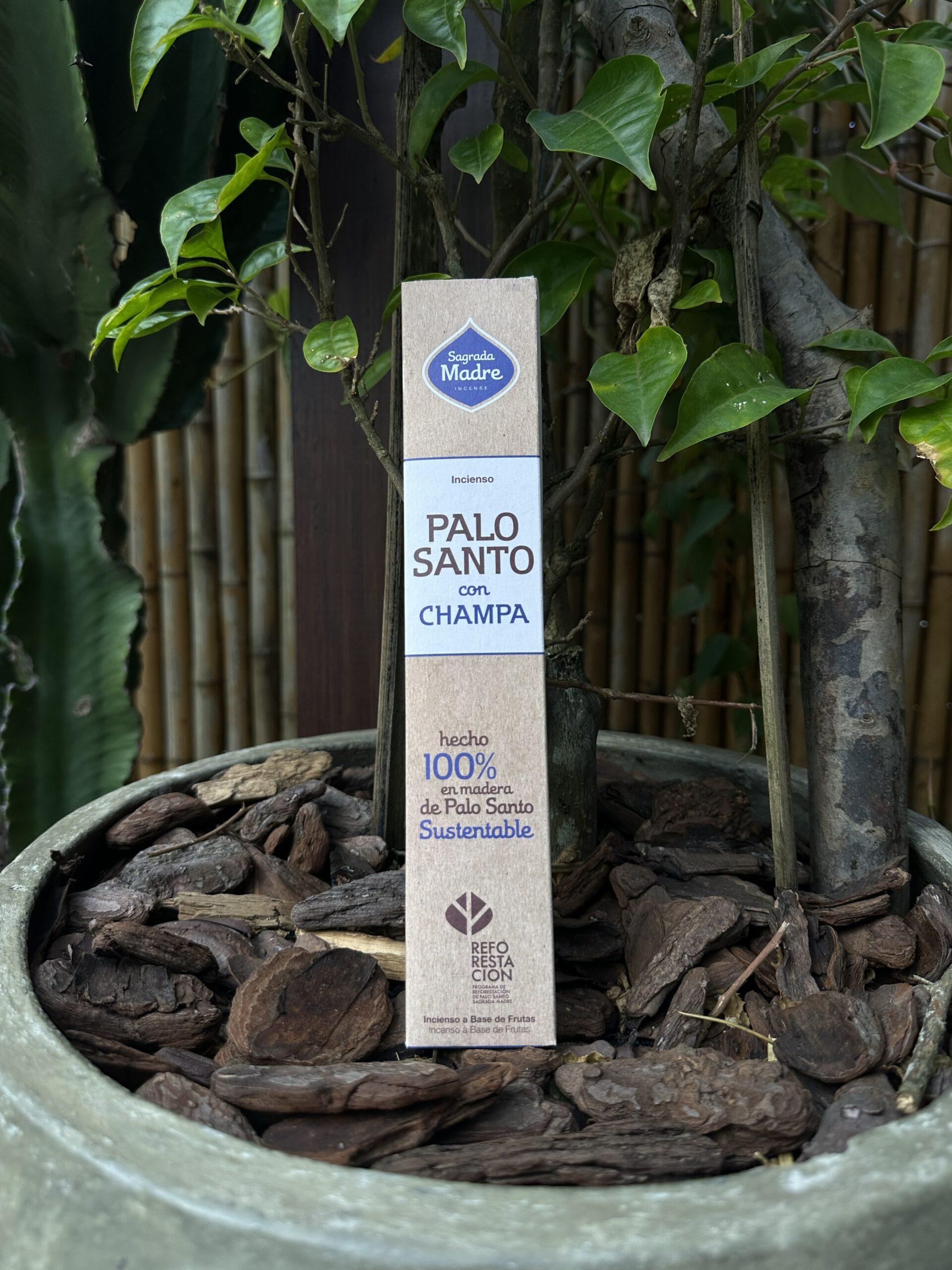 Palo Santo com Champa