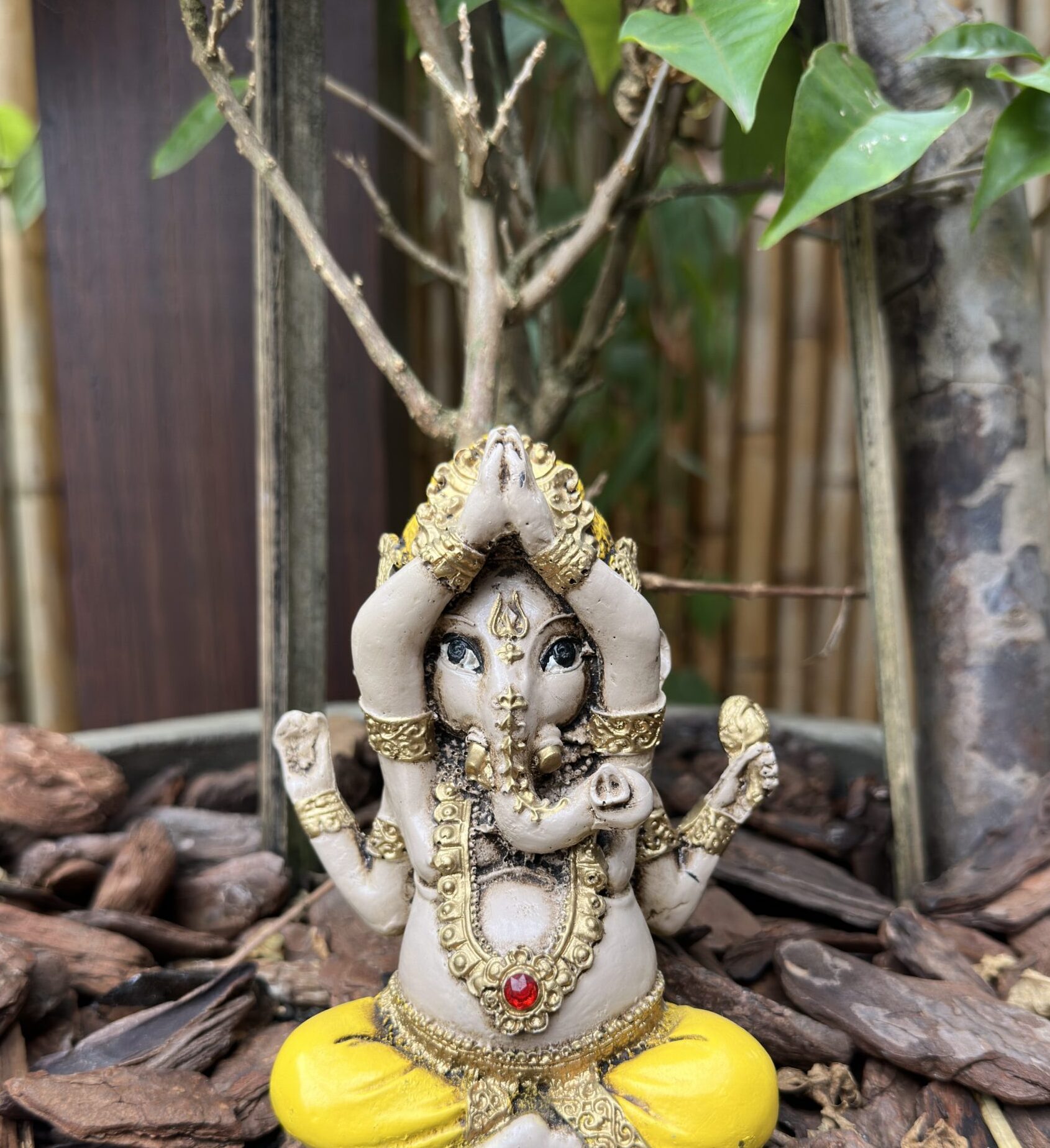 Ganesha Cores - Imagem 2
